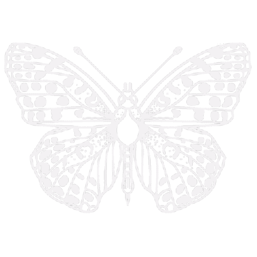 ✴︎sista anhalten✴︎